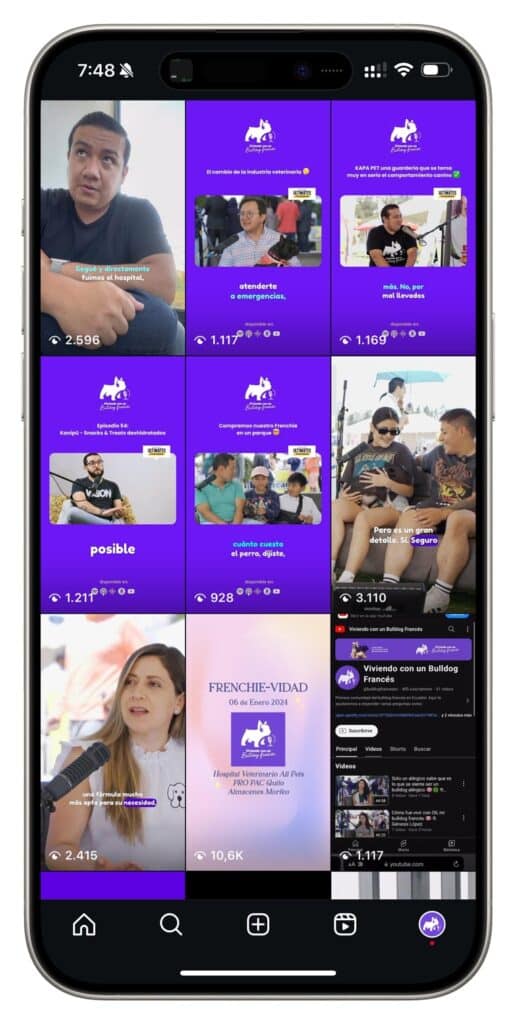 instagram distribucion clips viviendo con un bulldog frances