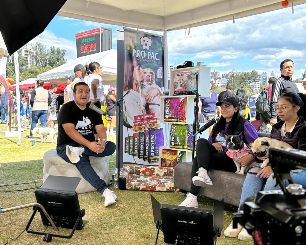 microfono podcast electrovoice re20 viviendo con un bulldog frances