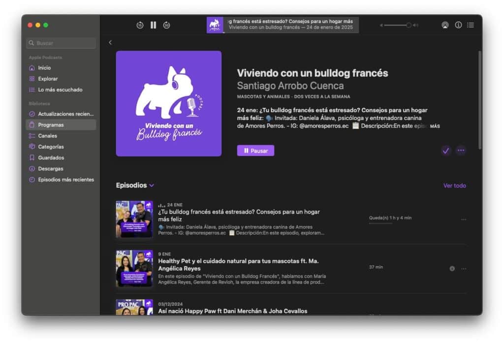podcast viviendo con un bulldog frances apple podcast